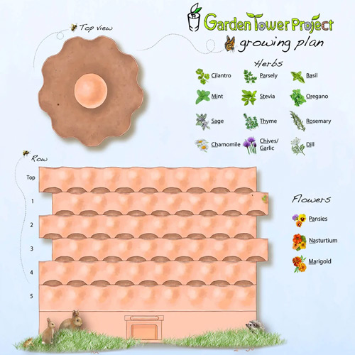 Read more about the article Garden Tower 2 Planting Plan