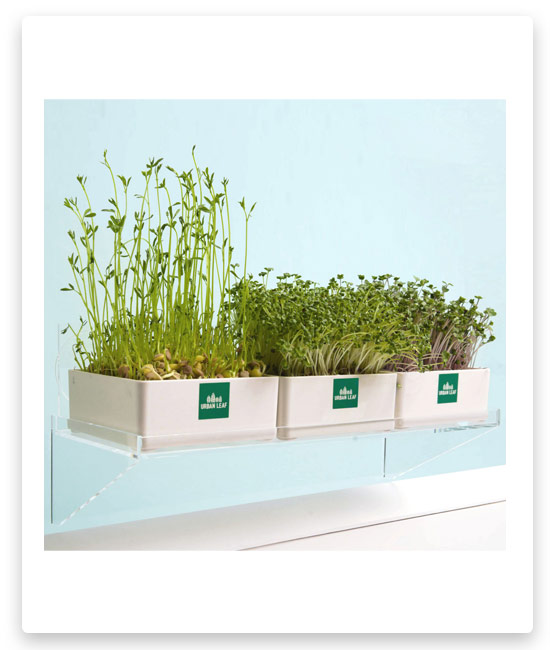 1# Urban Leaf Microgreens & Window Shelf Kit