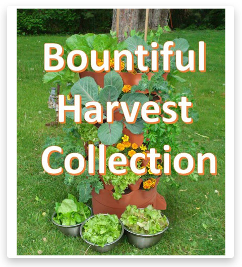 Bountiful Harvest Seed Collection
