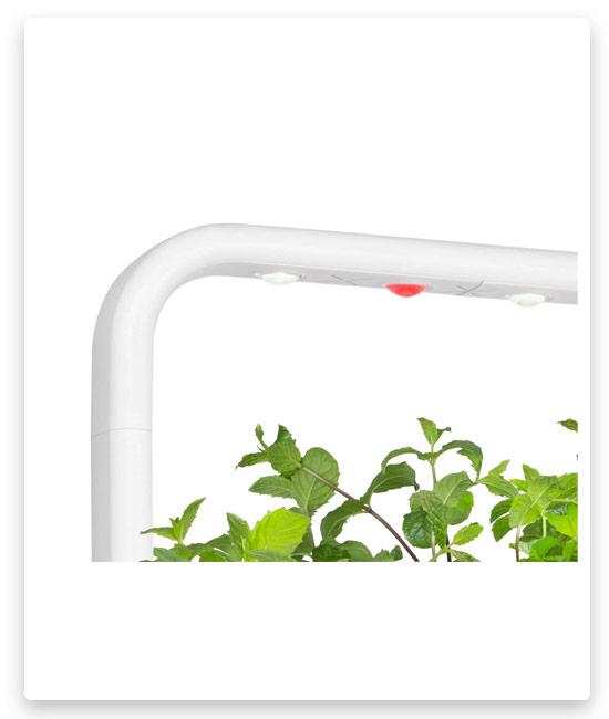 2# Click & Grow The Smart Garden 9 Lamp
