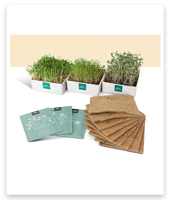 2# Urban Leaf Microgreens Refills Mighty Bundle (3 Pc)