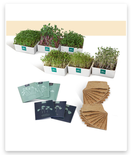 3# Urban Leaf Microgreens Refills Discovery Bundle (6 Pc)