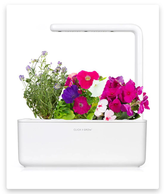5# Click & Grow Blooming Flower Kit