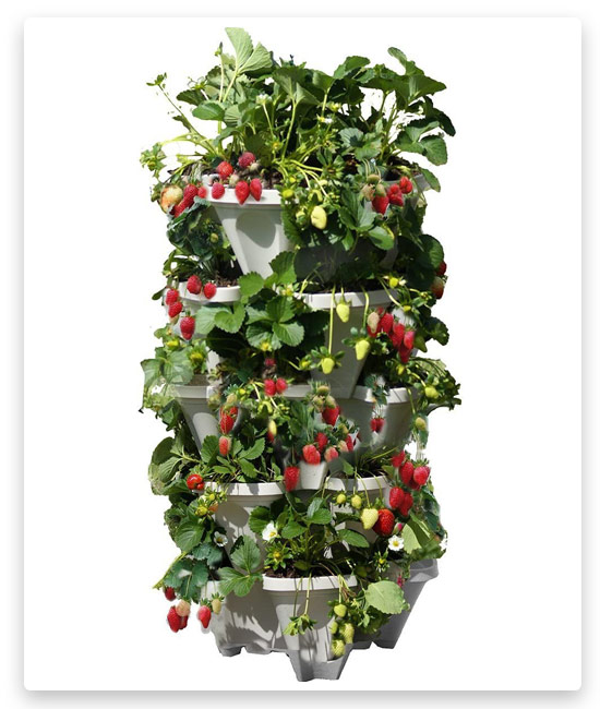 Mr. Stacky 5-Tier Vertical Gardening Planter