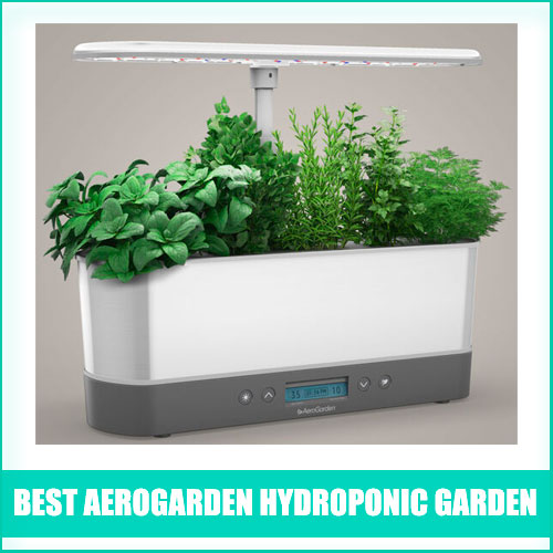 Aerogarden Hydroponic Garden Review
