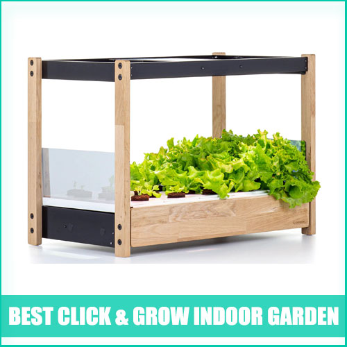 Click & Grow Indoor Garden Review