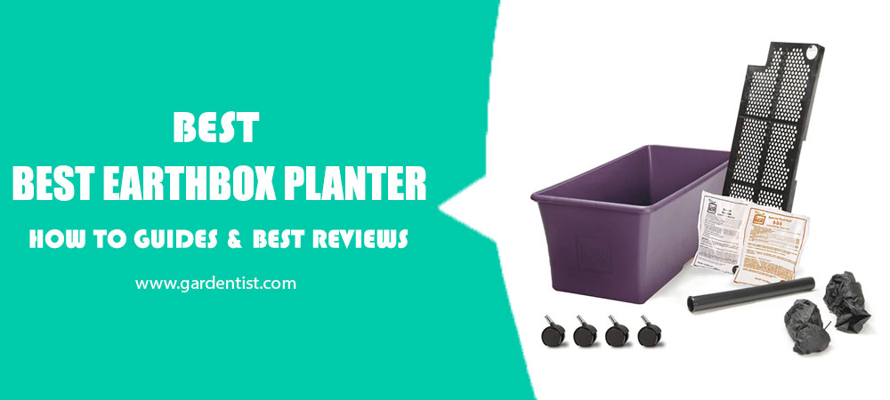 Best Earthbox Planter