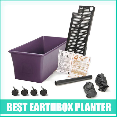 Earthbox Planter Review