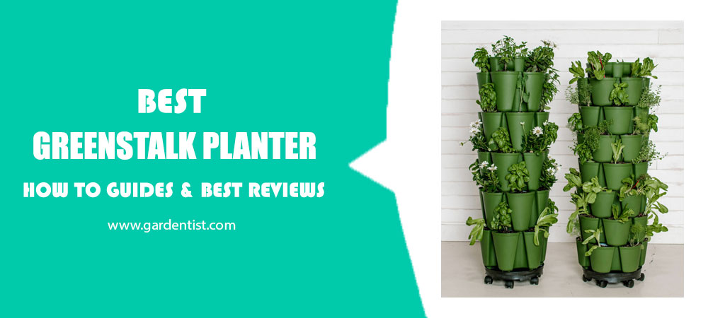 Best Greenstalk Planter