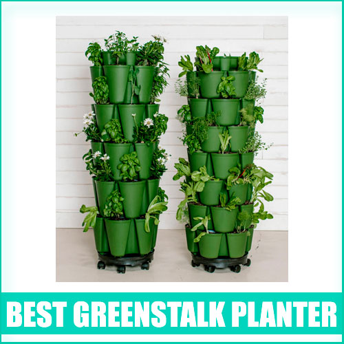 Greenstalk Planter Review