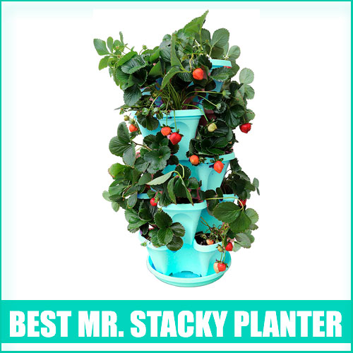 Mr. Stacky Planter Review