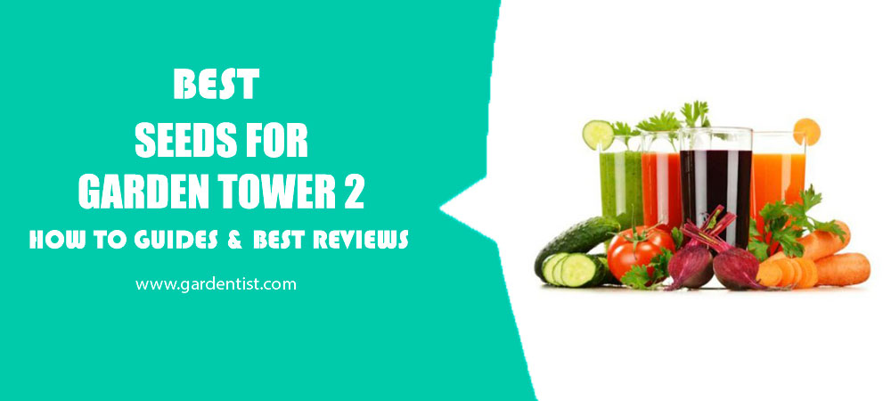 Best Seeds For Garden Tower 2