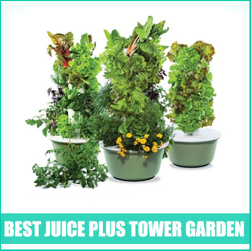 Juice Plus Tower Garden Review