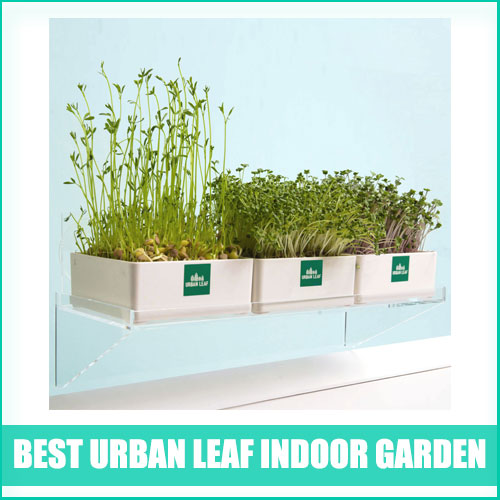 Best Urban Leaf Indoor Garden