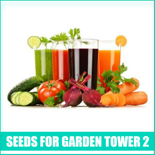 Best Seeds For Garden Tower 2