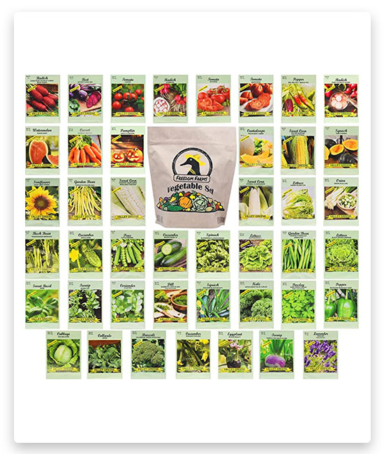 10# Black Duck Brand Set of 43 Assorted Vegetable & Herb Seed Packets