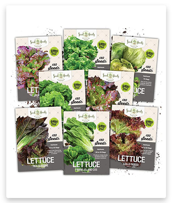 14# Seed Needs Lettuce Lovers Seed Packet Collection