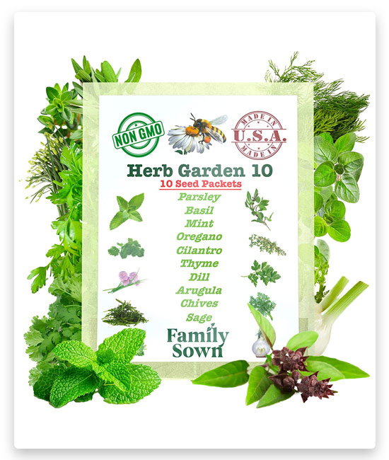 15# Family Sown Herb Seeds Variety Pack for Indoor Or Outdoor Garden