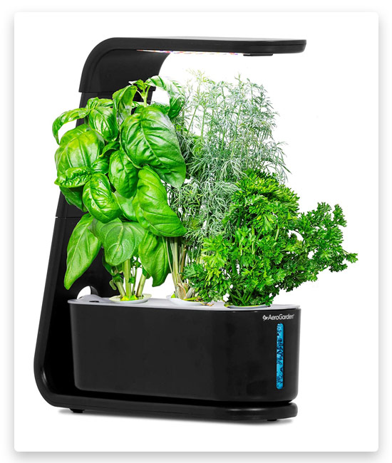4# AeroGarden Sprout with Gourmet Herbs Seed Pod Kit