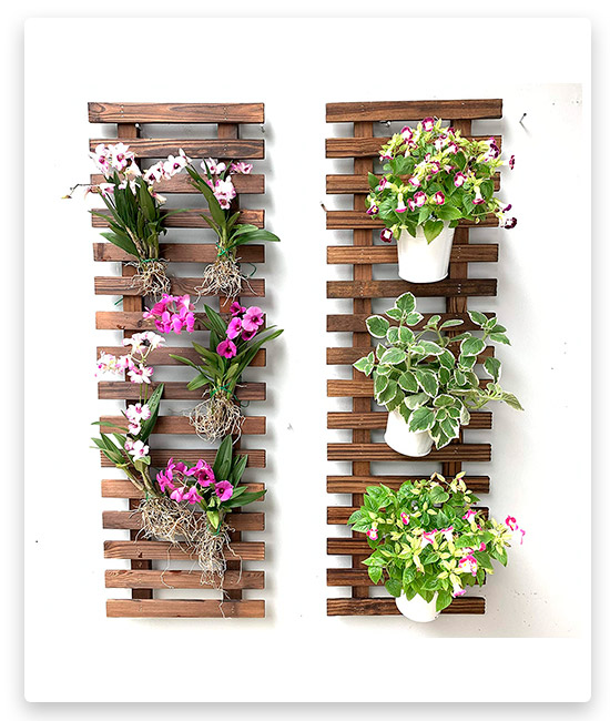 ShopLaLa Wall Planter