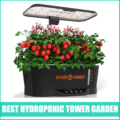Best Hydroponic Tower Garden