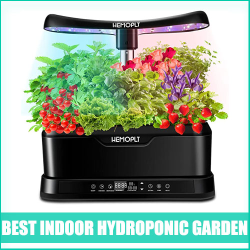 Best Indoor Hydroponic Garden