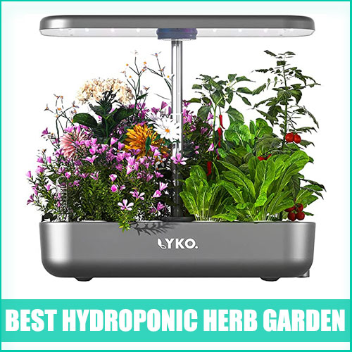 Best Hydroponic Herb Garden