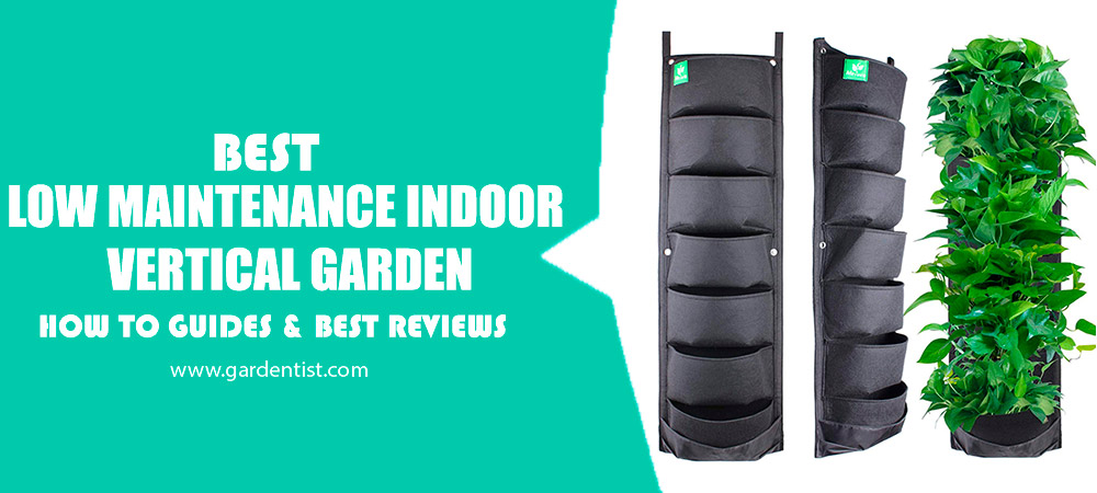 Best Low Maintenance Indoor Vertical Garden Review
