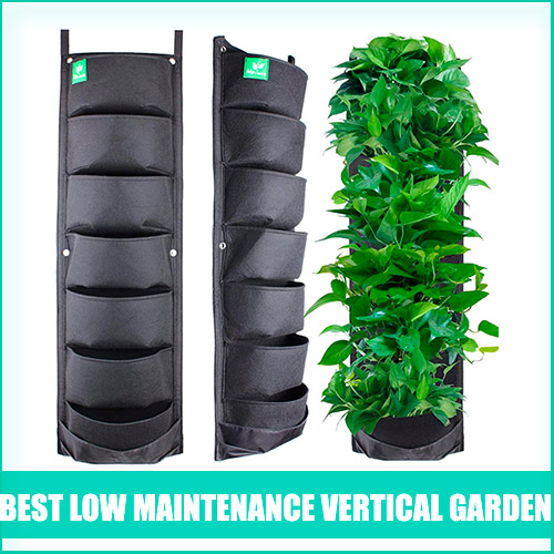 Best Low Maintenance Indoor Vertical Garden