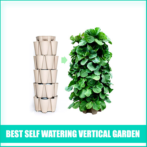 Best Self Watering Vertical Garden